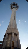 Sky Tower Auckland