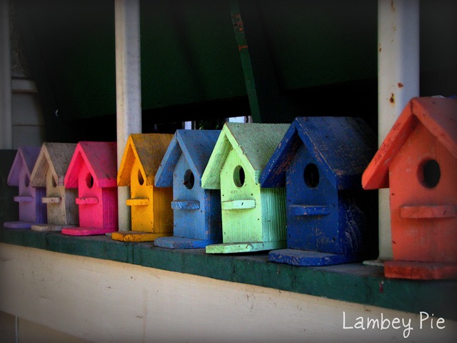 [birdhouses wm.jpeg[4].jpg]