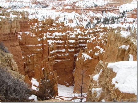 Bryce Canyon National Park 011