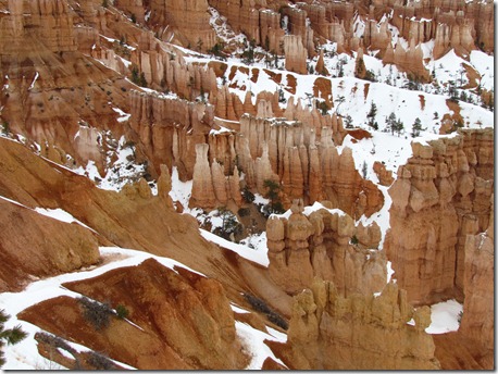 Bryce Canyon National Park 018