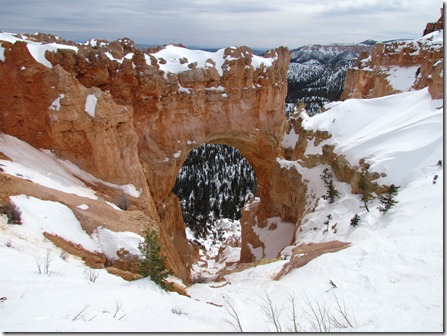 Bryce Canyon National Park 039