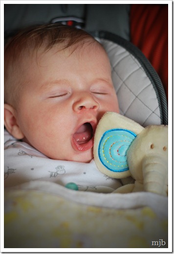 emmett yawn