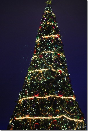 beluga tree