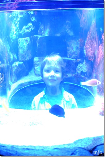 hintank