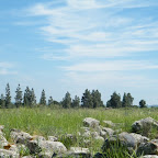 Ragional Golan