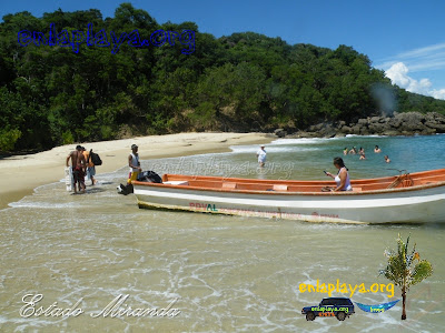 Playa Mono Manso  M111