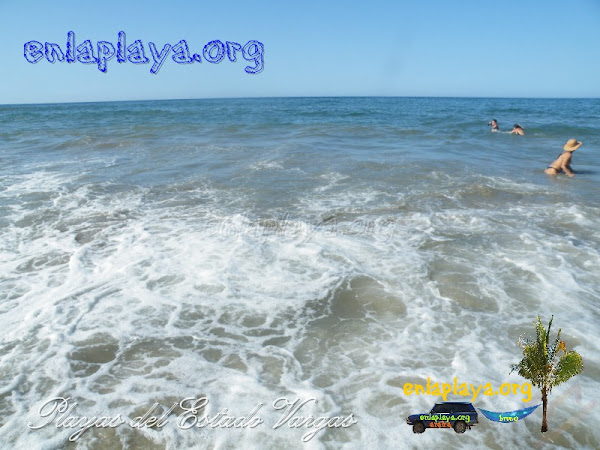 Playa Quebrada Honda V014