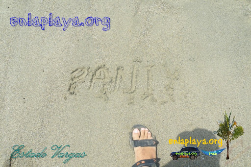 Playa Panty V048