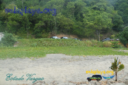 Playa Osma V030