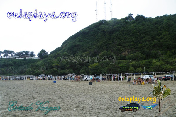 Playa Pescado V033 (Los Caracas)