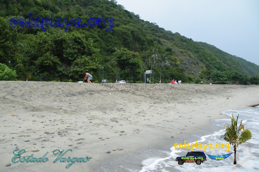 Playa La Punta V034 (Los Caracas)