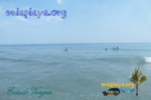 Playa Pantaleta V047, Estado Vargas, Entre las mejores playas de Venezuela, Top100