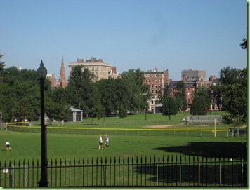IMG_1831 IMG_1831