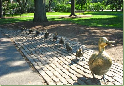 boston-public-garden-16