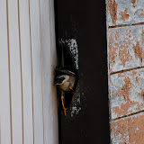 DSC_1173.JPG