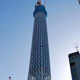 DSC_1201.jpg
