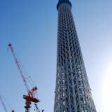 DSC_1204.jpg
