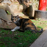 DSC_0715.JPG