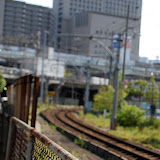 DSC_0773.jpg