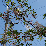 DSC_0758.JPG