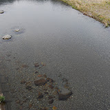 めっちゃ透明な熊野川