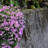 DSC_1013.JPG