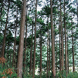 DSC_1026.jpg
