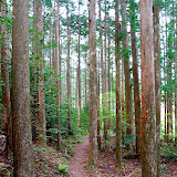 DSC_1031.jpg