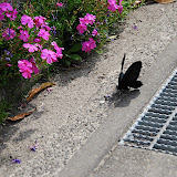 DSC_1144.JPG