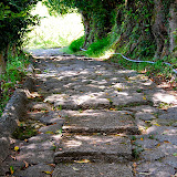 DSC_1175.jpg