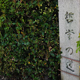 DSC_0380.JPG