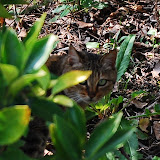DSC_0203.JPG