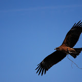 DSC_0312.JPG