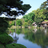 DSC_1226.JPG