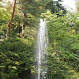 DSC_1237.JPG