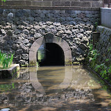 DSC_1248.JPG