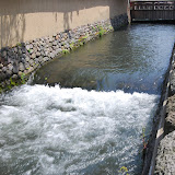 DSC_1289.JPG