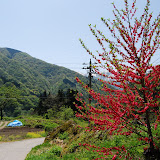 DSC_1490.JPG