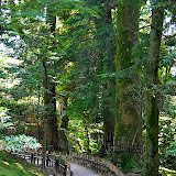 DSC_1307.jpg