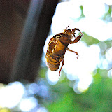 DSC_1551.JPG