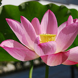 DSC_1581.JPG