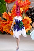 Automne Hiver Haute Couture 2010 - Christian Dior 10 Automne Hiver Haute Couture 2010 - Christian Dior 10