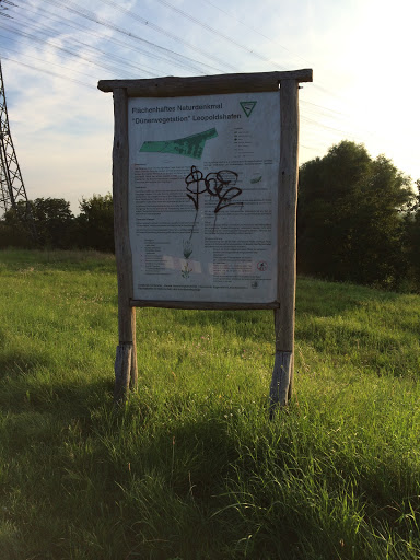 Dünenvegetation Leopoldshafen