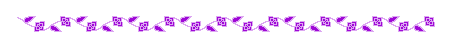 [barra4.gif]