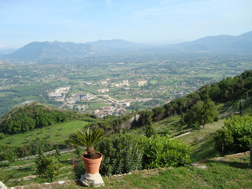 barbato