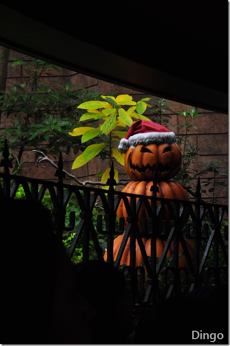 DSC_7048 DSC_7048