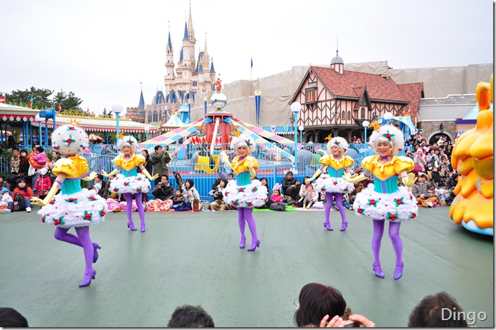 DSC_7116 DSC_7116