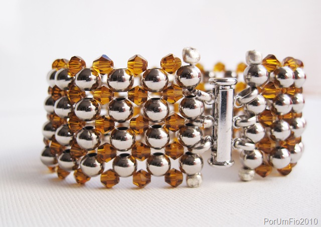 [bloasswa_castanha[3].jpg]