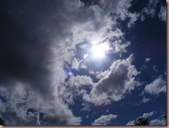 DSCF0643