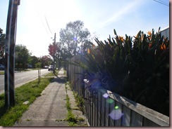 DSCF1040